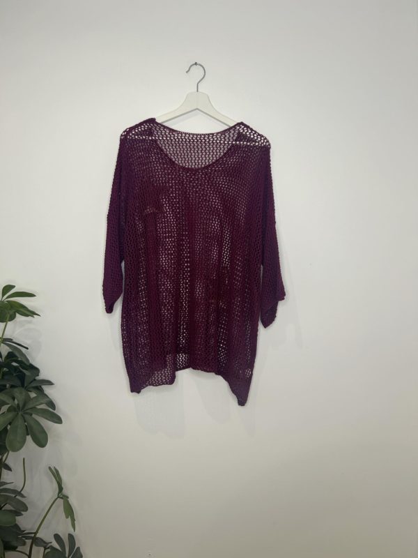 Pull fun prune_41Bis mode femme grande taille