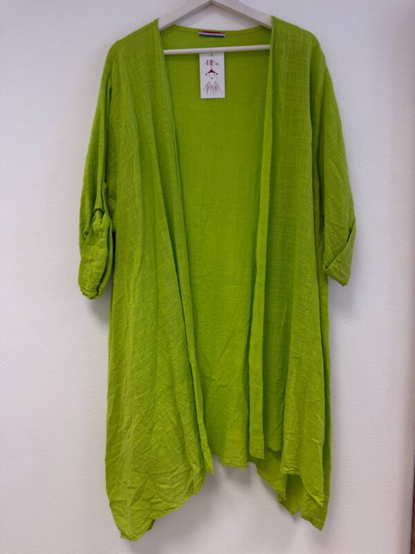 Veste Gaëtane verte_41Bis mode femme grande taille