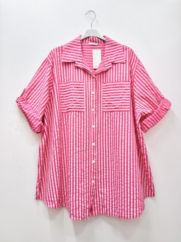 Chemise Marwen rose_41Bis mode femme ronde