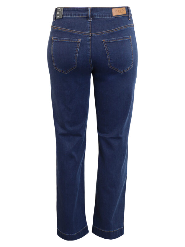 Jean Cyprien_41Bis ode femme grande taille Ciso