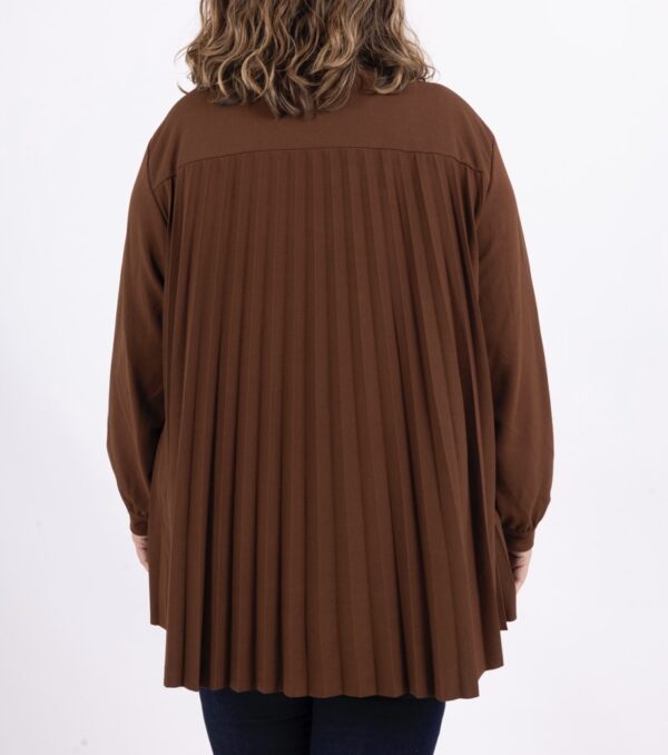 Chemise Pliz marron_41Bis mode femme grande taille
